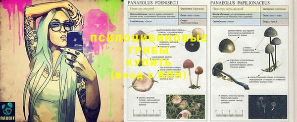 гашиш Наволоки