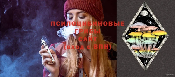 прущая мука Надым