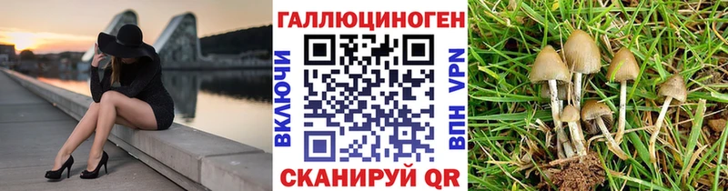 Псилоцибиновые грибы GOLDEN TEACHER Купить закладки Кимовск